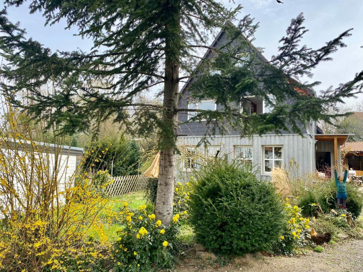 Gronocottage Bad Harzburg Esterno foto